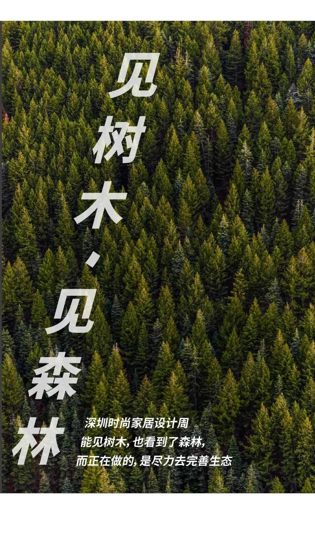 中国设计需要怎样的生态来让“原创不死”