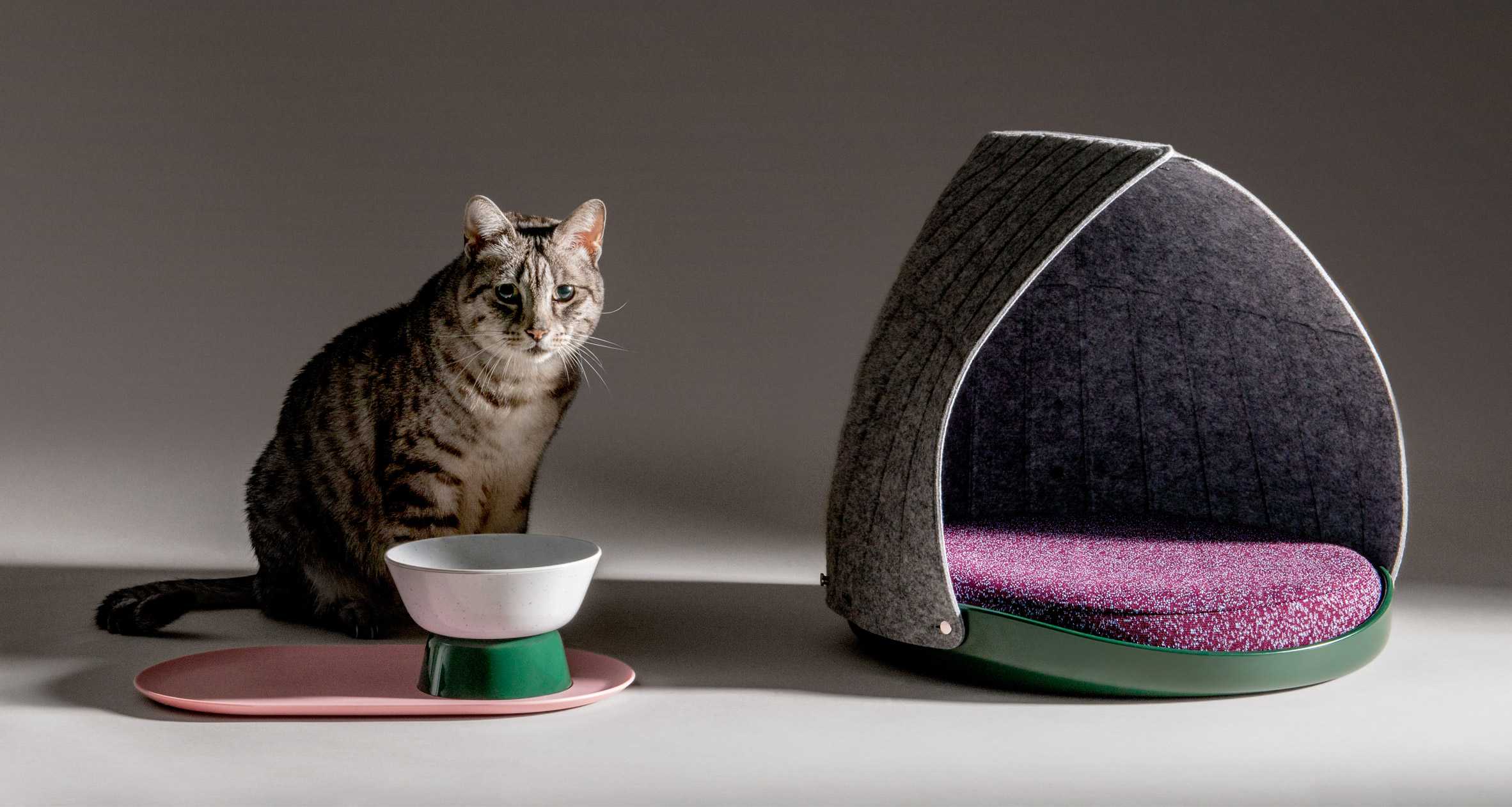 设计用于猫科动物的混搭家具