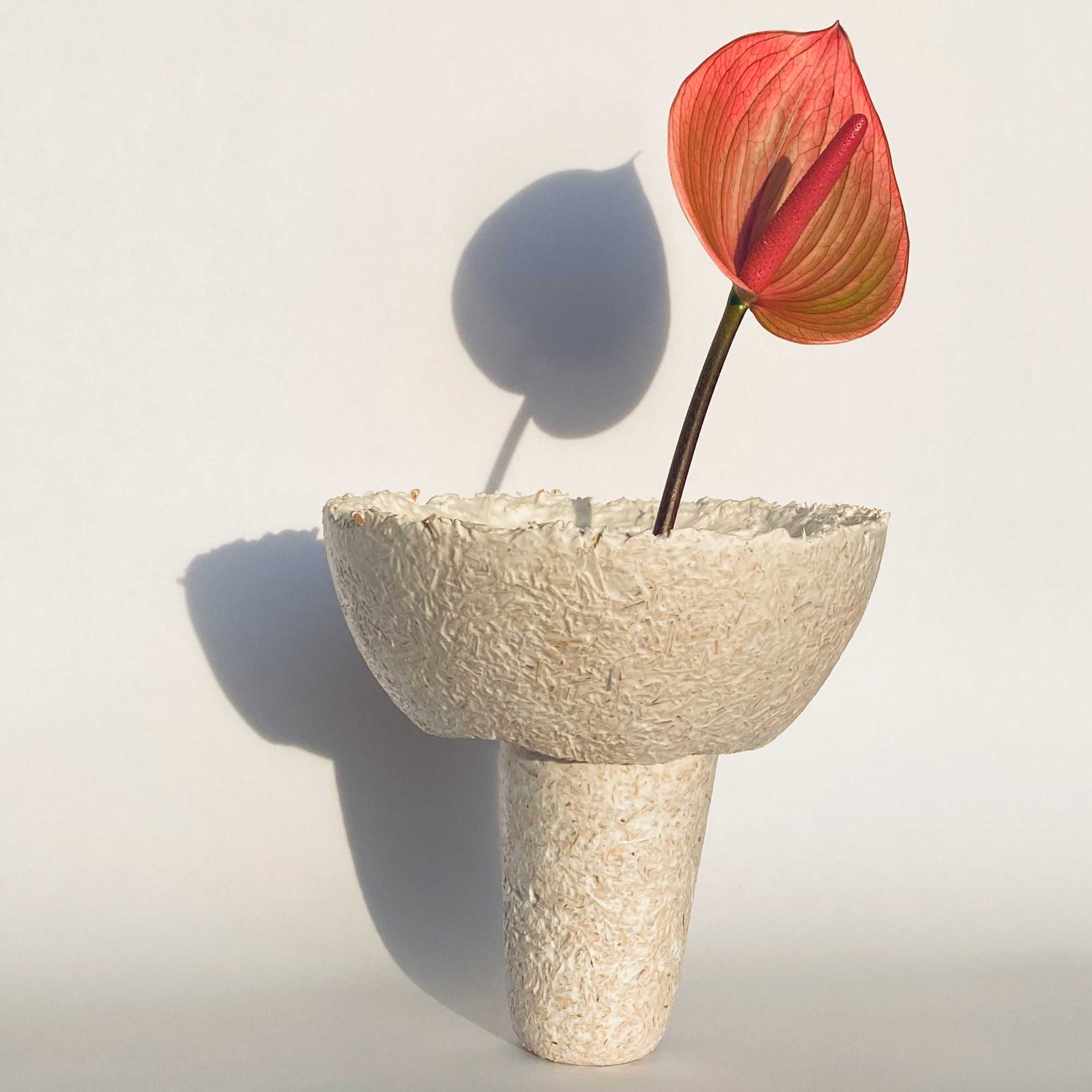 Collectible 2020值得关注的10位年轻设计师