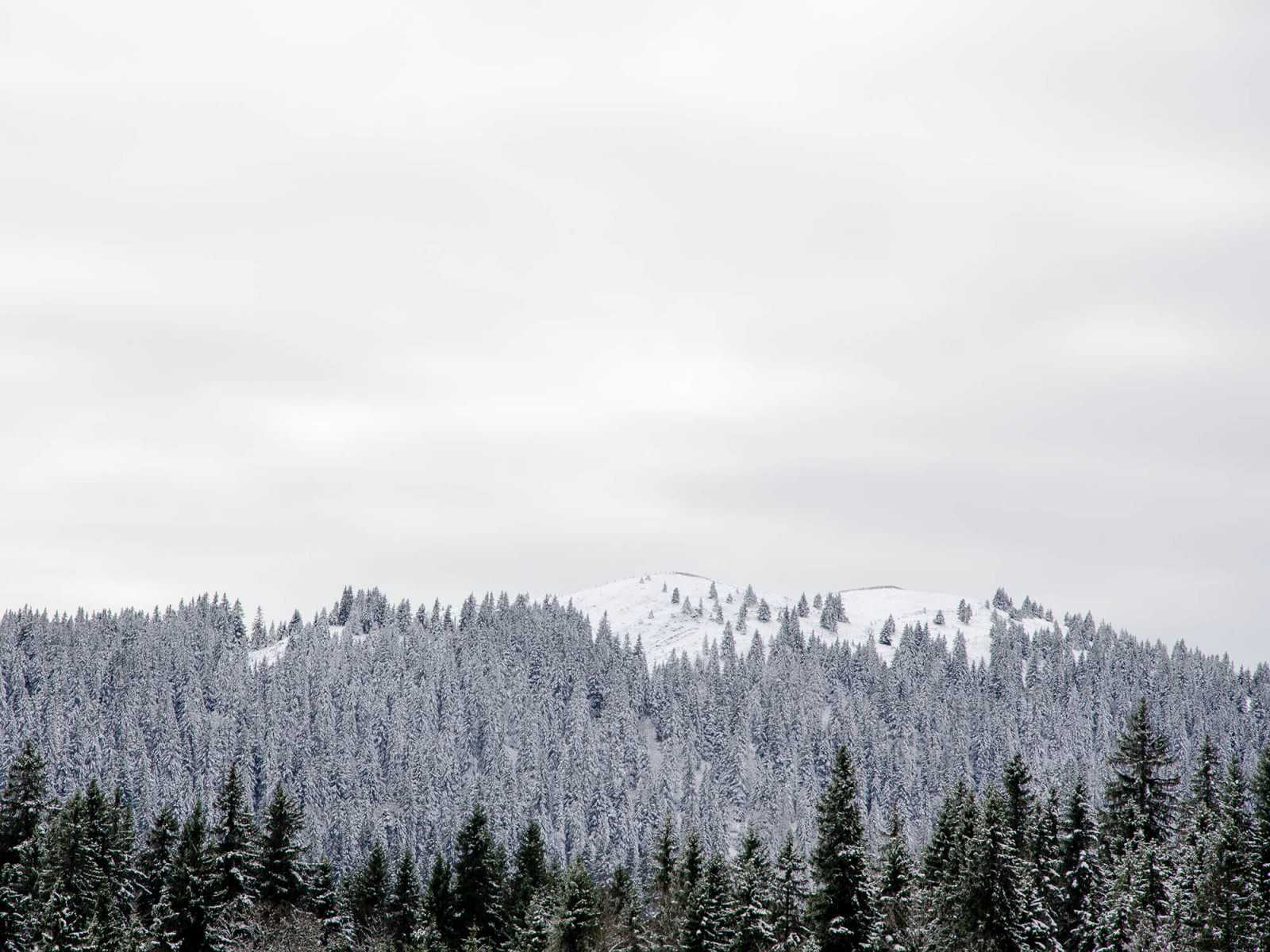 瑞士设计师Fabien Roy的木制家具品牌-MAZEL
