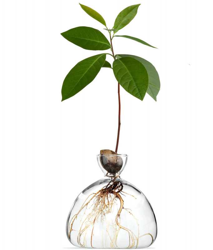 1000个花瓶展览将在2020年米兰设计周登陆