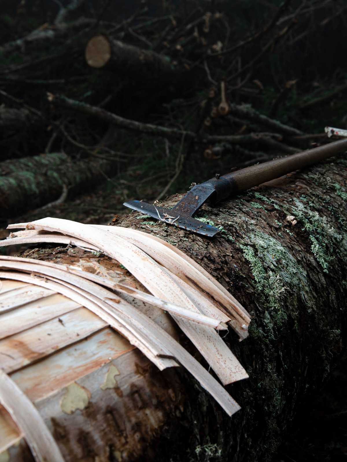 瑞士设计师Fabien Roy的木制家具品牌-MAZEL