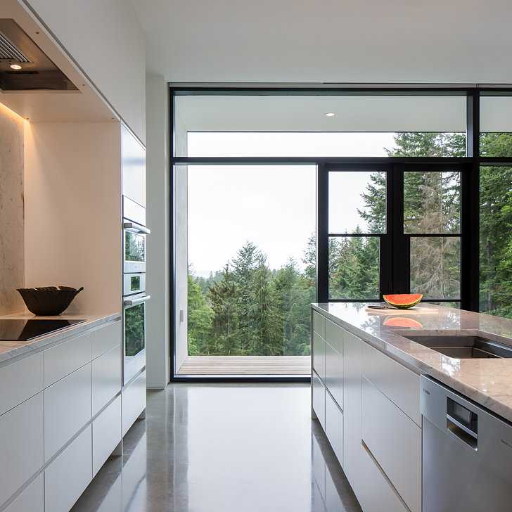 位于Orcas岛上的藏家之居(Collector's Retreat)