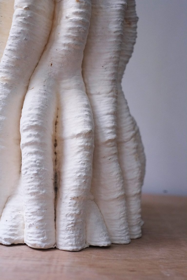 自然界的物体是由生物体构成的