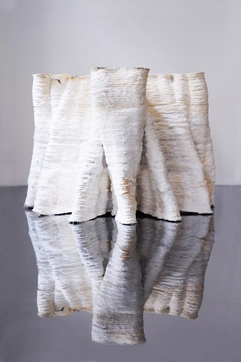 自然界的物体是由生物体构成的