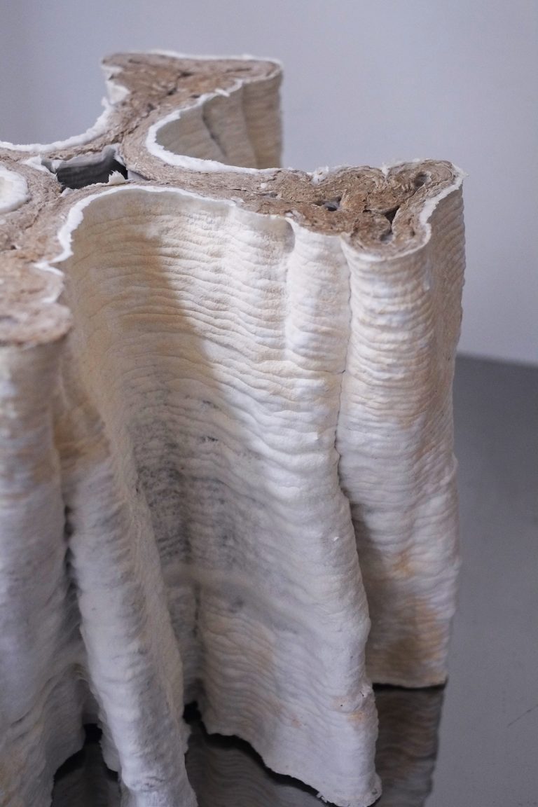 自然界的物体是由生物体构成的