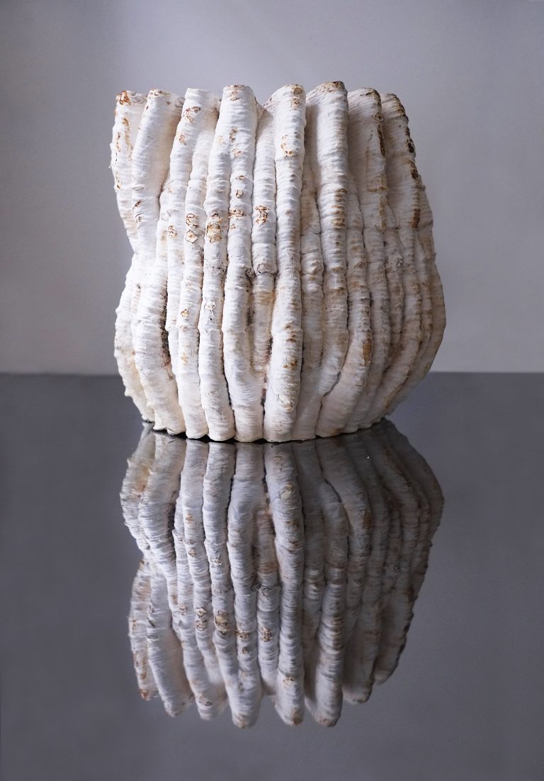 自然界的物体是由生物体构成的