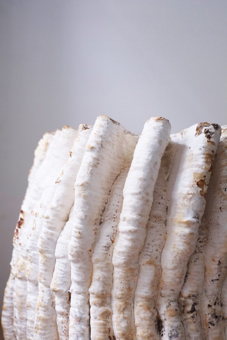 自然界的物体是由生物体构成的