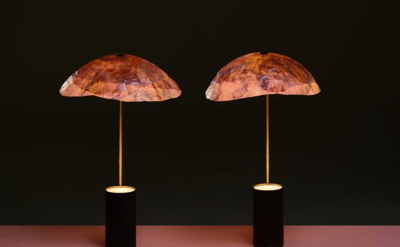 尼尔·梅里（Nir Meiri）将菜叶变成纸质灯罩