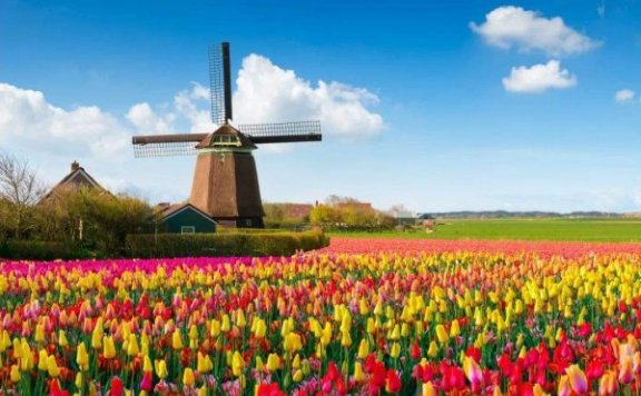 2021法兰克福家用纺织品展跟团|法兰克福国际家纺展+荷兰9天艺术之旅