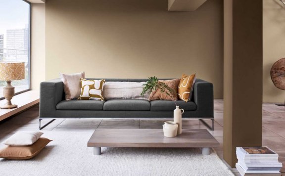 《Brave Ground》被评为2021年年度色彩