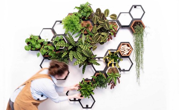 Horticus打造模块化室内起居墙