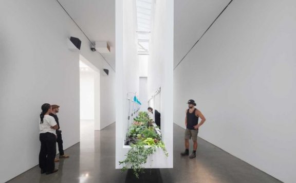 “Social Works”展览:“我们真的有那么不一样吗?”